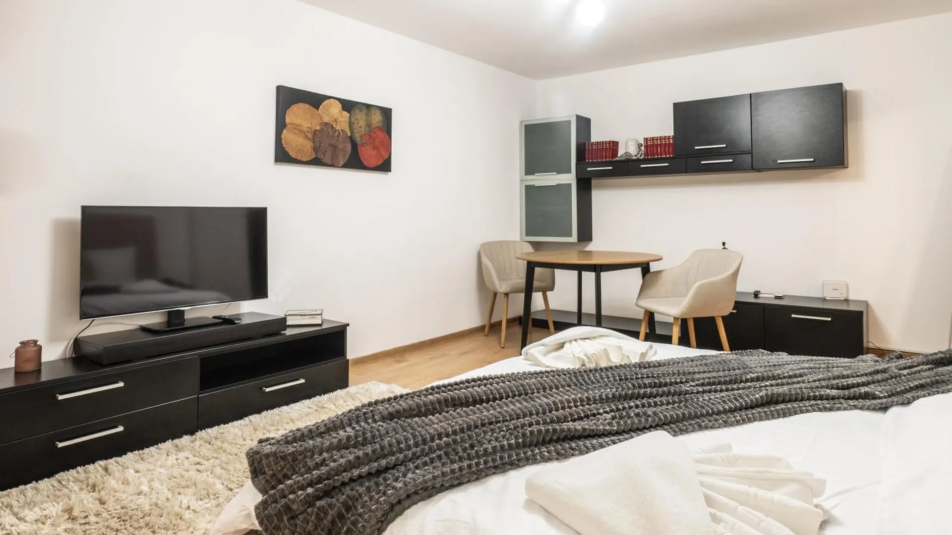 Modern & Cozy Studio - Near Herastrau Park Bucharest