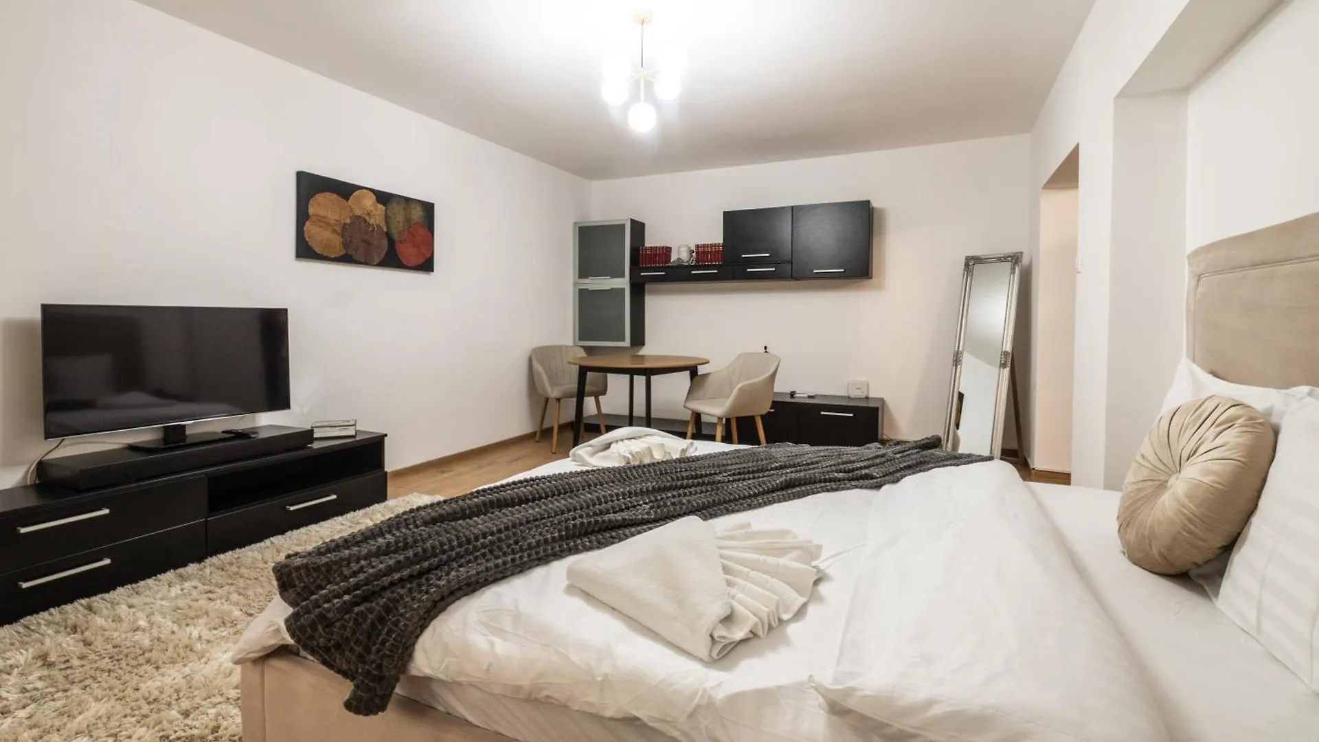 Modern & Cozy Studio - Near Herastrau Park Bucharest